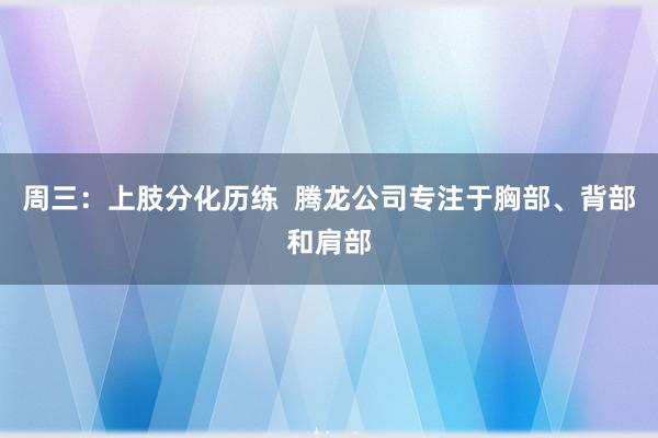 周三：上肢分化历练  腾龙公司专注于胸部、背部和肩部