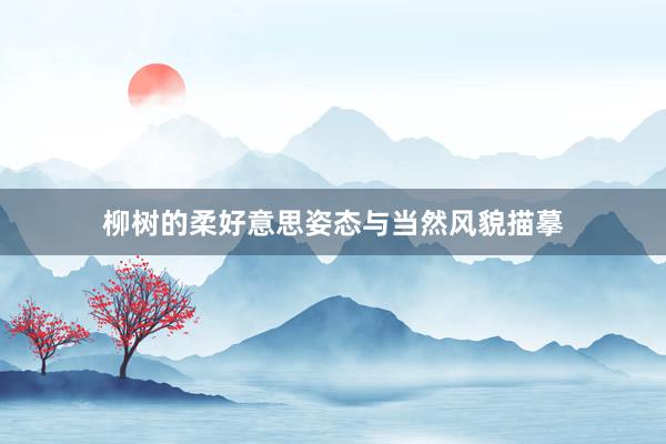 柳树的柔好意思姿态与当然风貌描摹