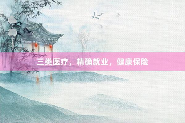 三类医疗，精确就业，健康保险
