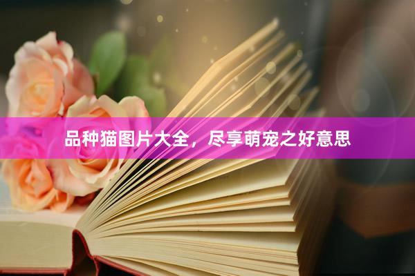 品种猫图片大全，尽享萌宠之好意思