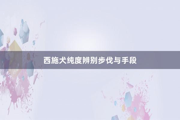 西施犬纯度辨别步伐与手段