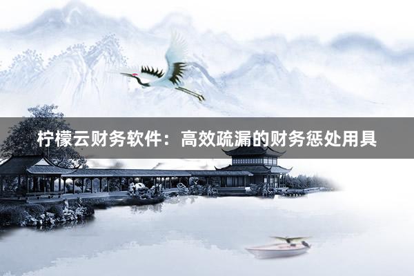 柠檬云财务软件：高效疏漏的财务惩处用具